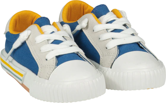 Barbour canvas sneakers