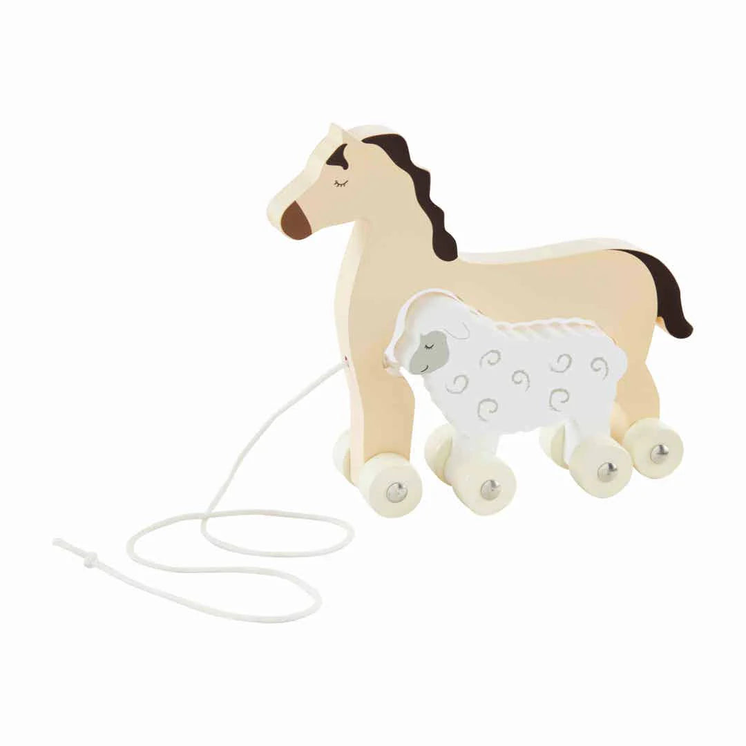 Wooden Pull Along Set