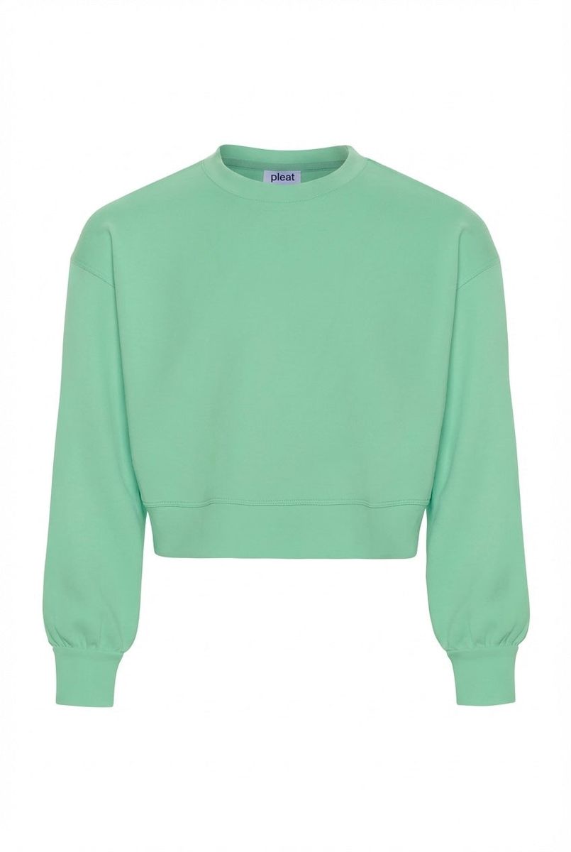 Frances sweatshirt clover
