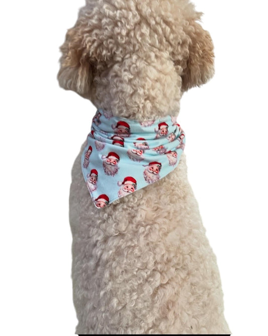 Blue Pet Bandana