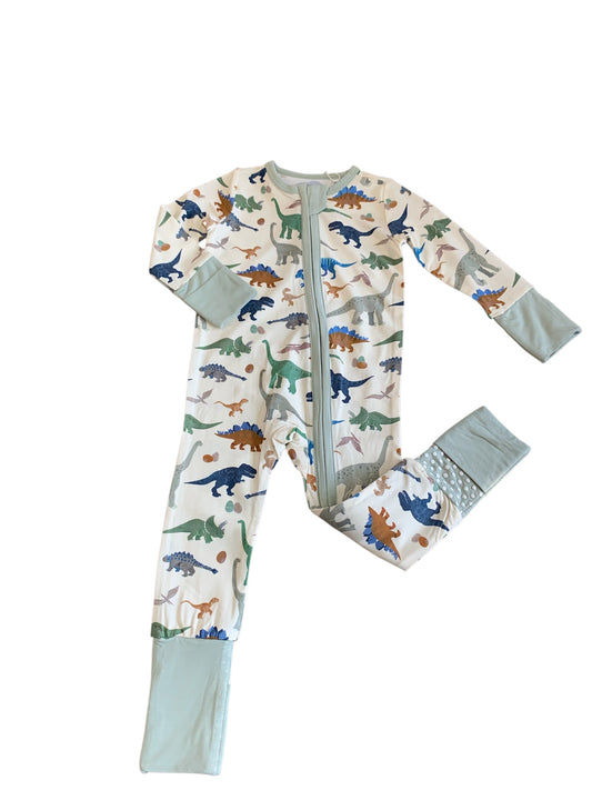 Washy Dinos - 2 Way Zipper Romper