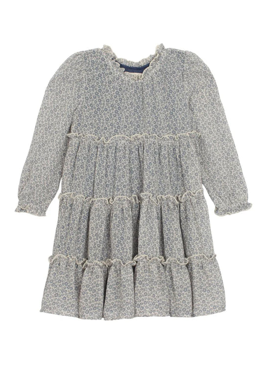 remy chiffon dress