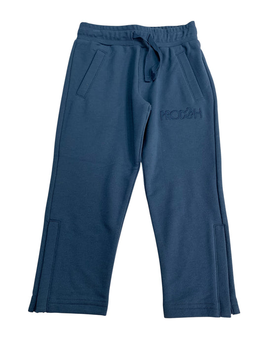 Navy jogger pants