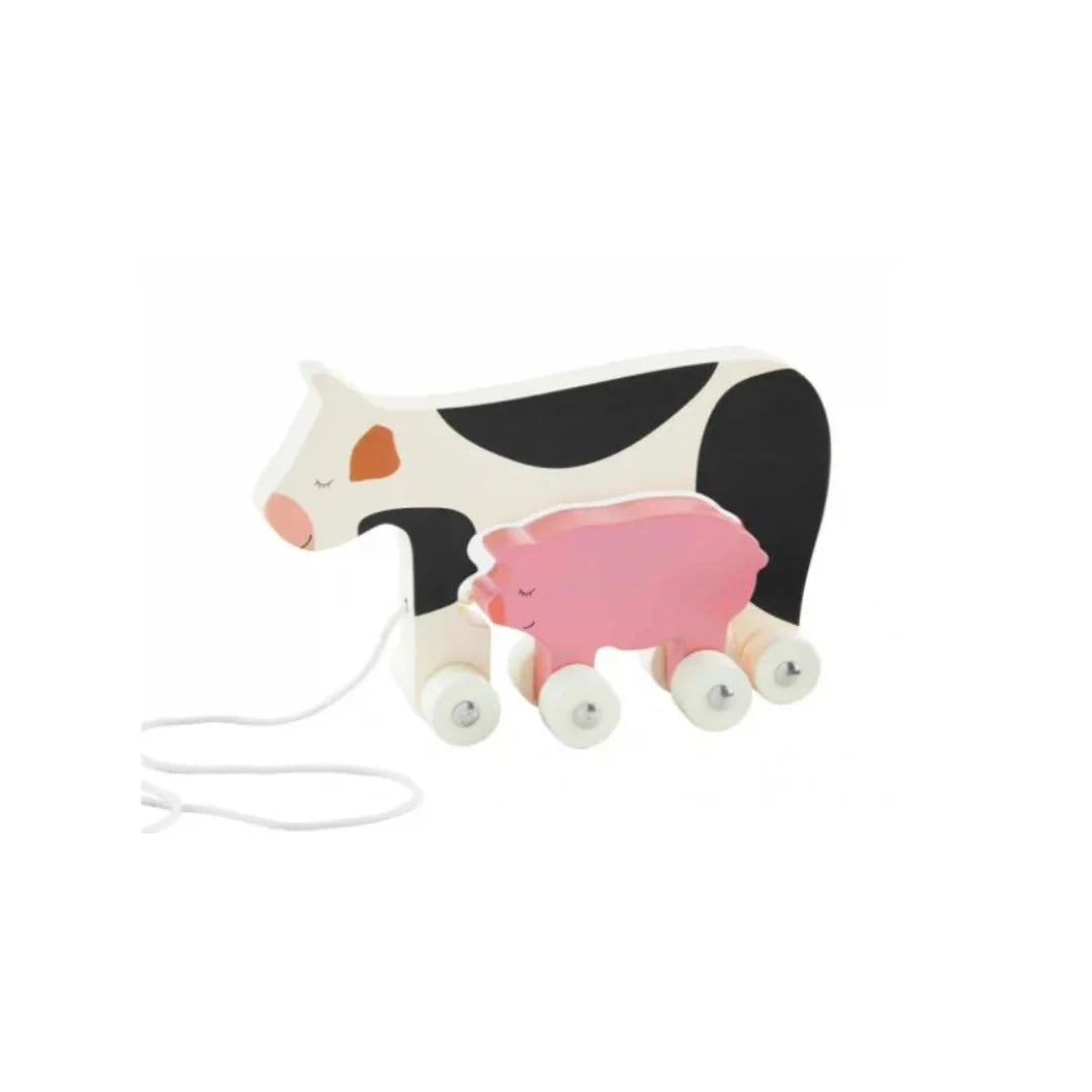 Wooden Pull Along Set