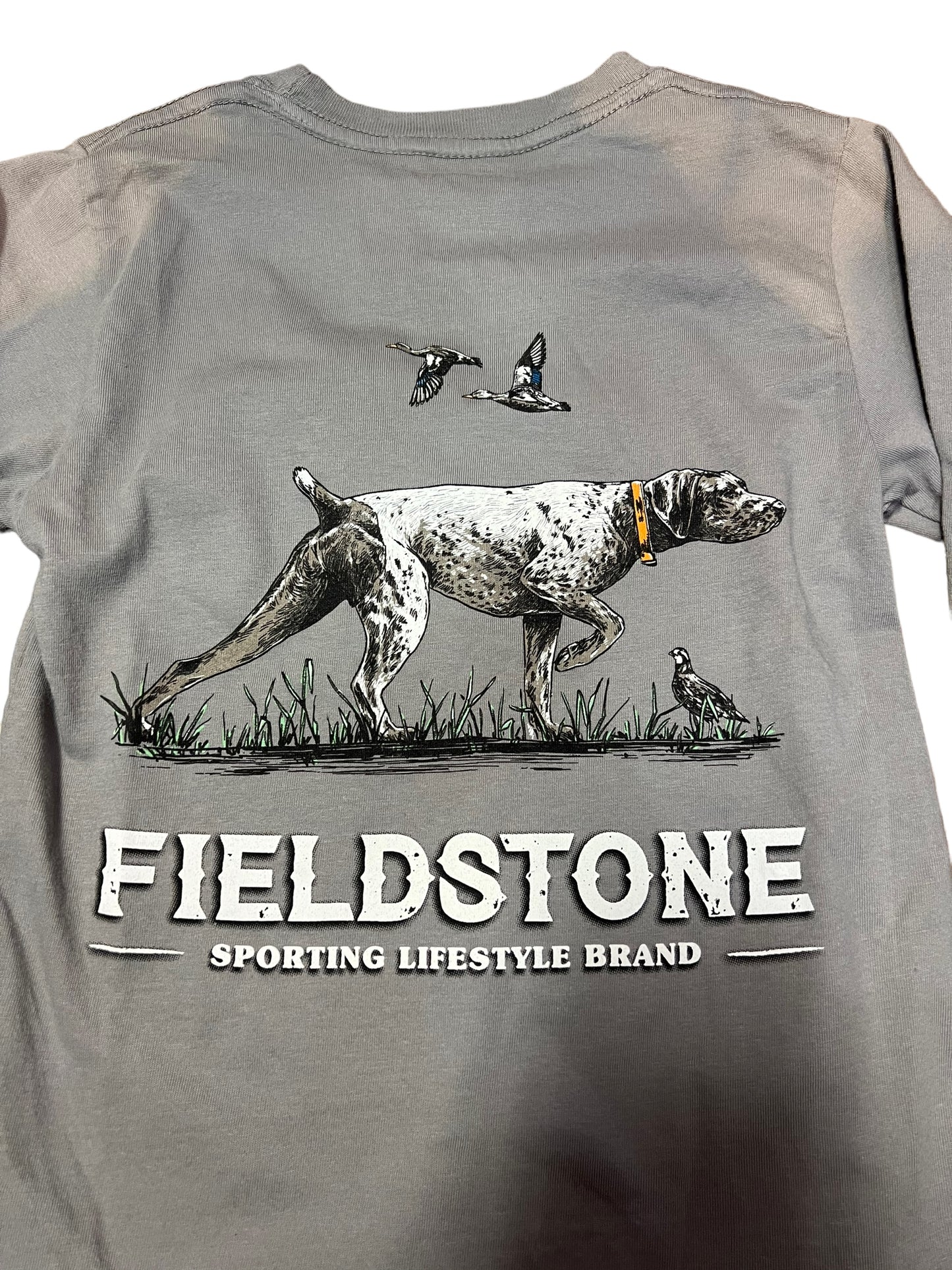 Pointer grey LS