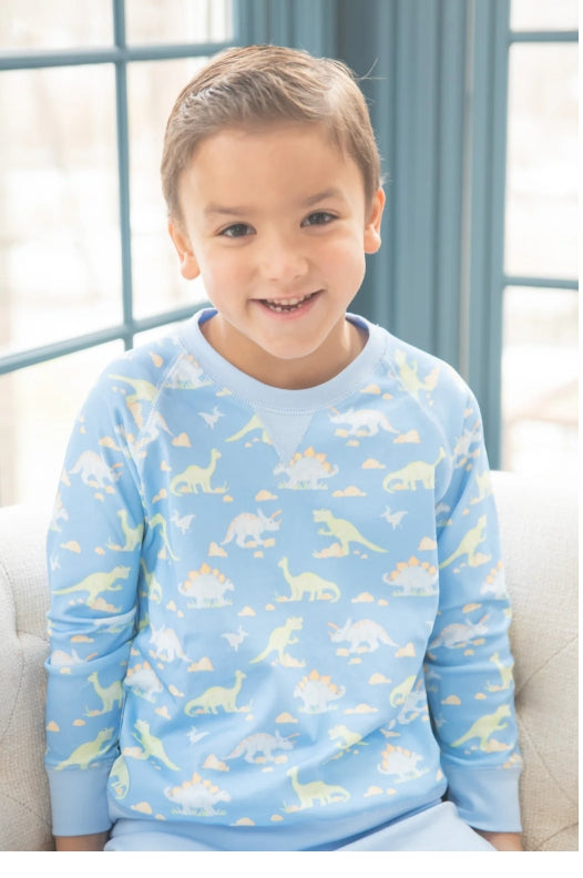 Dinosaur sam sweatshirt