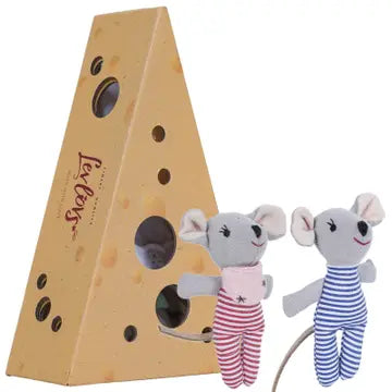 Baby mice in cheese box